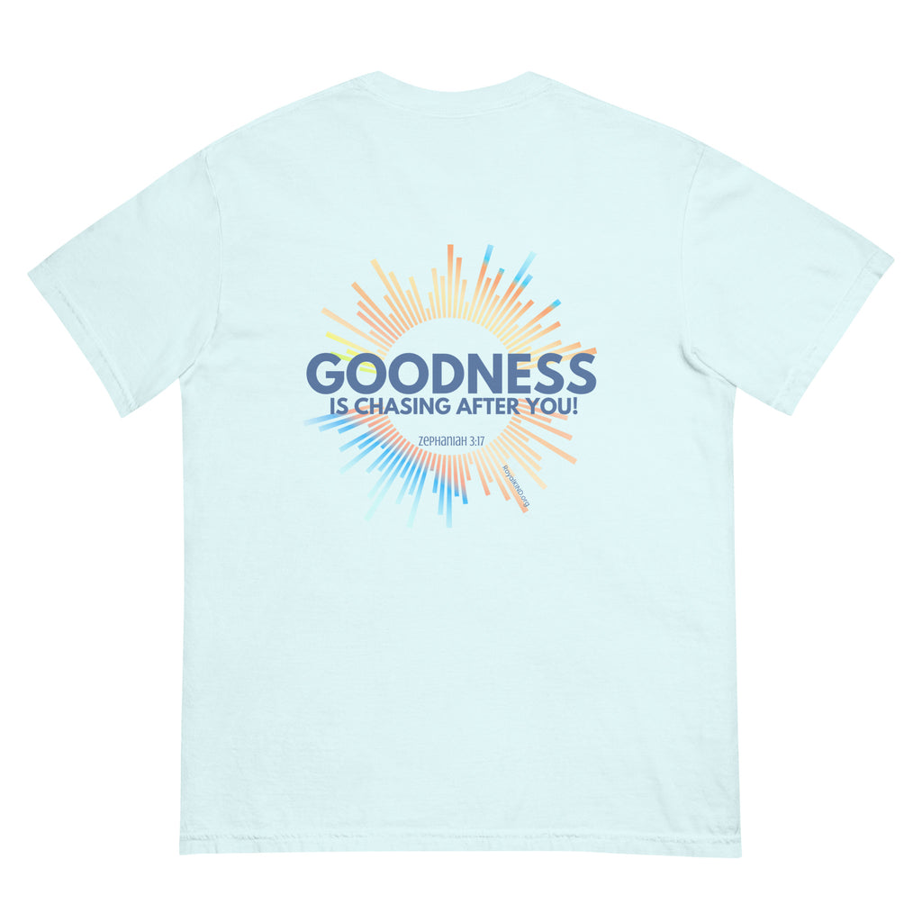 Chambray BLue